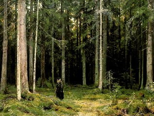 Описание картины И. И. Шишкина «В лесу графини Мордвиновой. Петергоф»