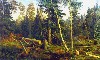Картина Шишкина: Рубка леса