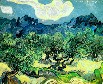 Картина Винсента Ван Гога: Оливковые деревья на фоне Альпилля