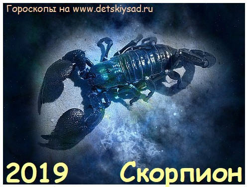 Гороскоп для Скорпиона на 2019 год